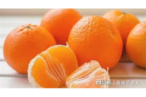 大姨妈来了可以吃橘子