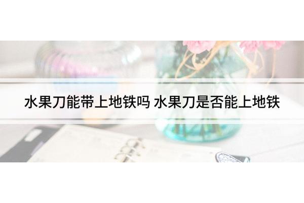 菜刀可以带上地铁吗